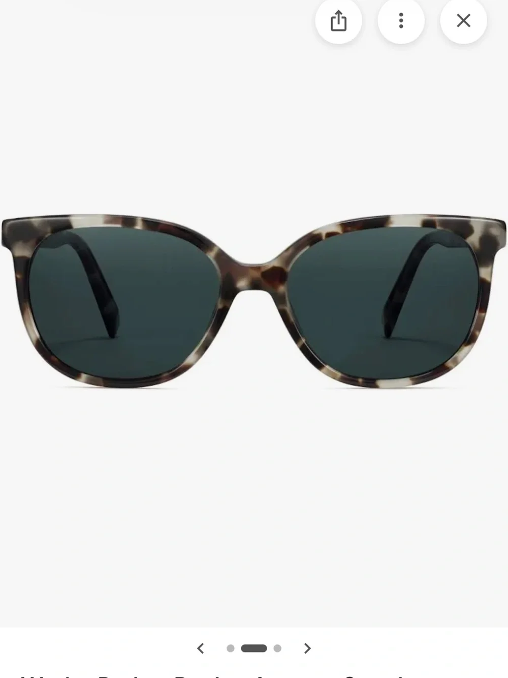 Warby Parker Raglan — Tortoiseshell Cat Eye Sunglasses with Dark Lenses